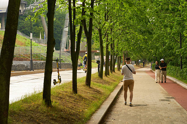 Peaceful urban walk along a tree-lined sidewalk